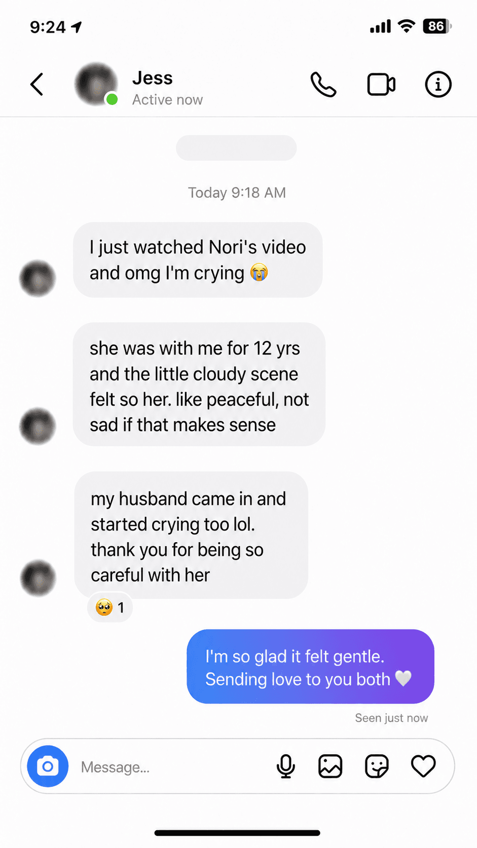 Illustrative message exchange about Nori's tribute video
