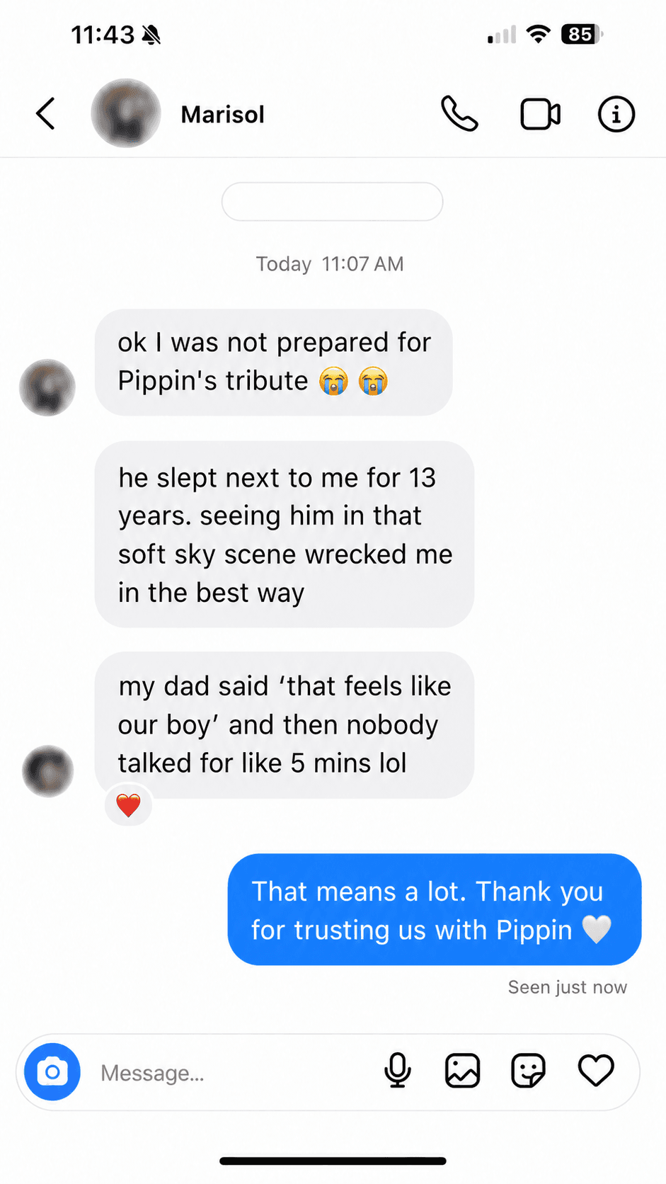 Illustrative message exchange about Pippin's tribute video